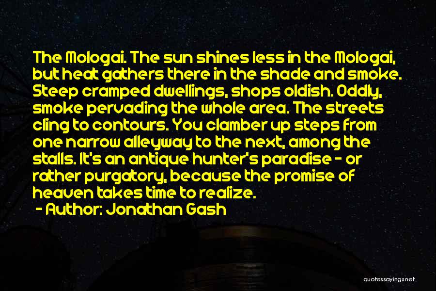 Dwellings Quotes By Jonathan Gash