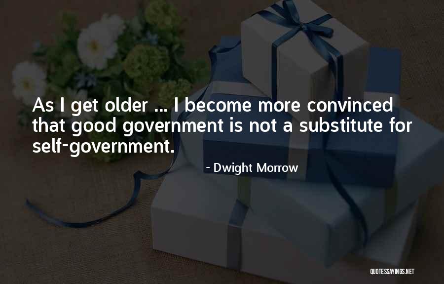 Dwight Morrow Quotes 76715