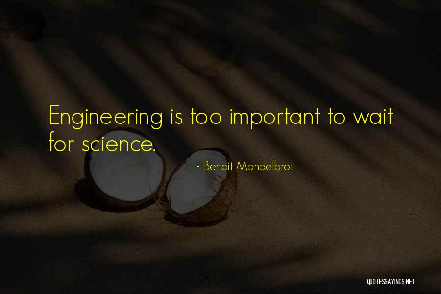 Dwiki Dharmawan Quotes By Benoit Mandelbrot