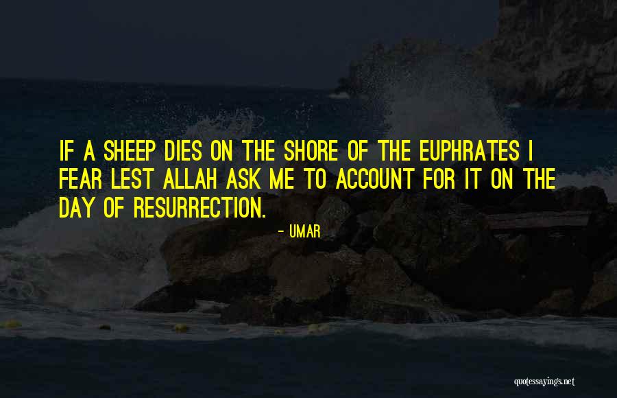 Dwikonasana Quotes By Umar Dwikonasana Quotes By Umar