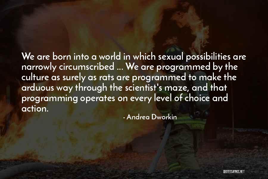 Dworkin Andrea Quotes By Andrea Dworkin