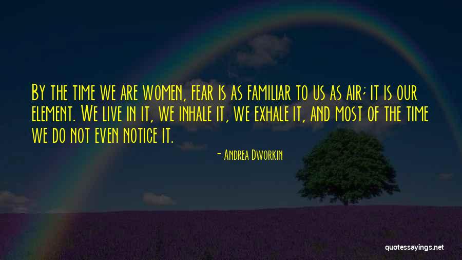 Dworkin Andrea Quotes By Andrea Dworkin