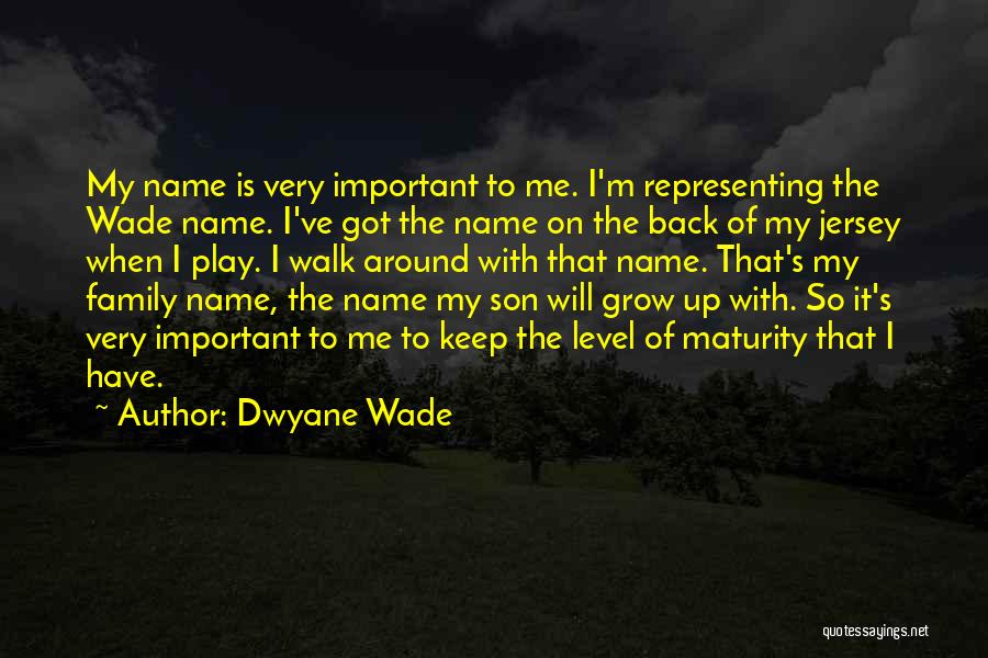 Dwyane Wade Quotes 1246492