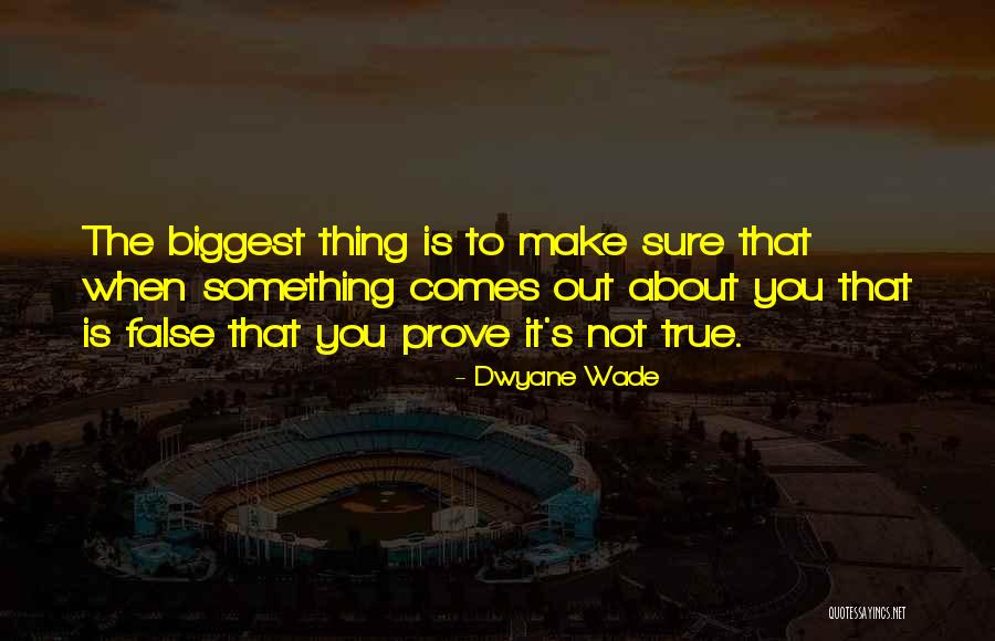 Dwyane Wade Quotes 246906