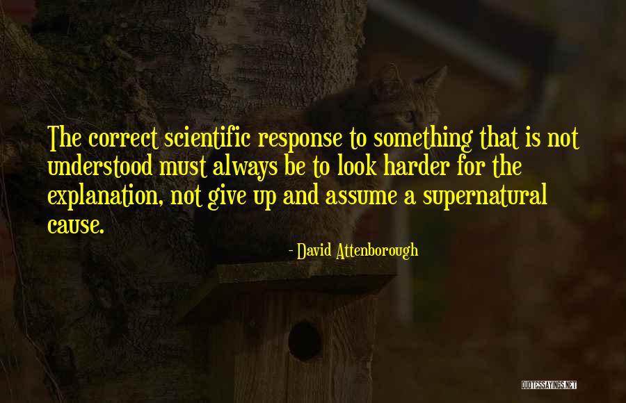 Dyah Pitaloka Quotes By David Attenborough Dyah Pitaloka Quotes By David Attenborough