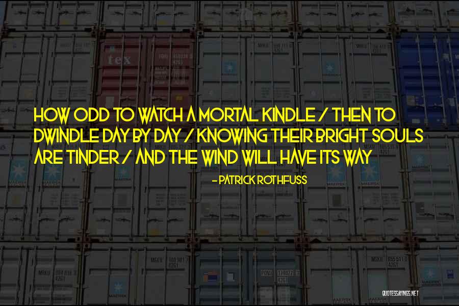 Dyckerhoff Petit Quotes By Patrick Rothfuss Dyckerhoff Petit Quotes By Patrick Rothfuss