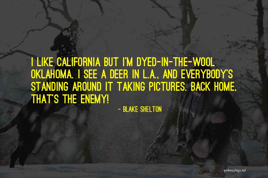 Dyed Quotes By Blake Shelton Dyed Quotes By Blake Shelton