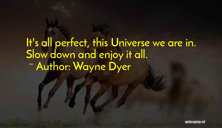 Dyer Quotes By Wayne Dyer