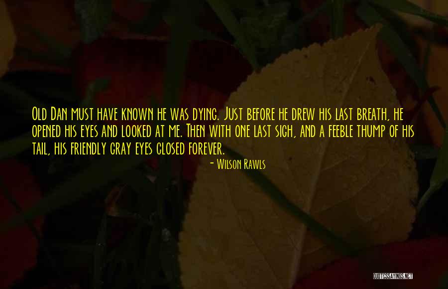 Dying All Gray Quotes By Wilson Rawls Dying All Gray Quotes By Wilson Rawls