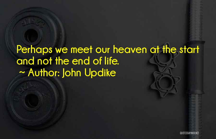Dying And Going To Heaven Quotes By John Updike