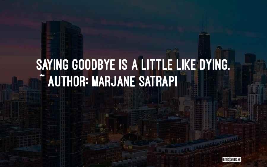 Dying And Saying Goodbye Quotes By Marjane Satrapi