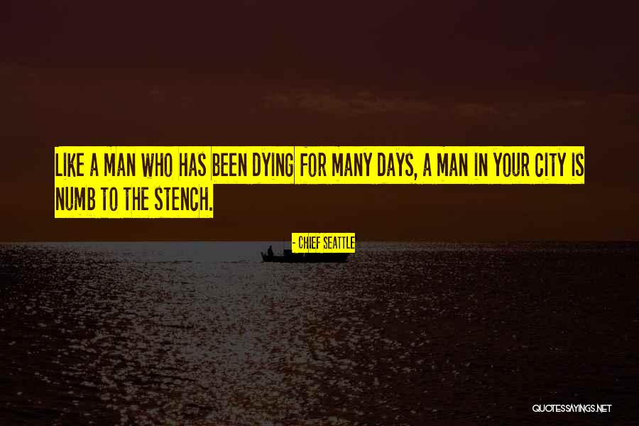Dying City Quotes By Chief Seattle Dying City Quotes By Chief Seattle