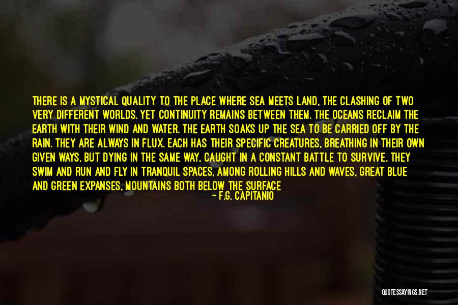 Dying Earth Quotes By F.G. Capitanio Dying Earth Quotes By F.G. Capitanio