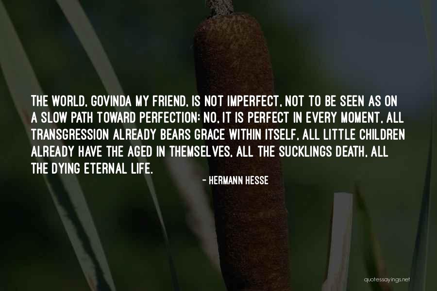 Dying For A Friend Quotes By Hermann Hesse