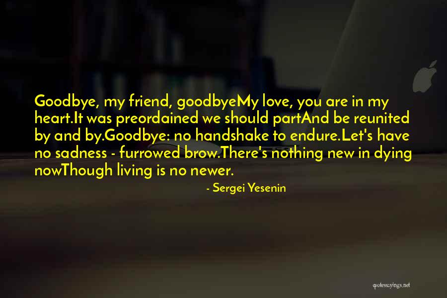 Dying For A Friend Quotes By Sergei Yesenin