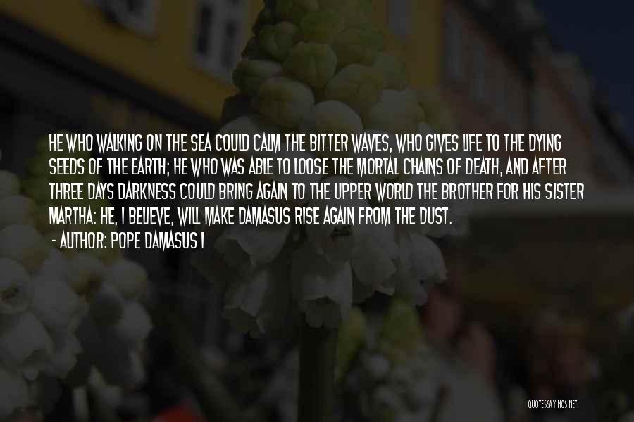 Dying For Faith Quotes By Pope Damasus I