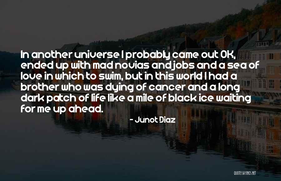 Dying For Love Quotes By Junot Diaz Dying For Love Quotes By Junot Diaz