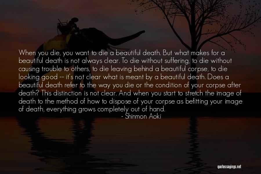 Dying For Others Quotes By Shinmon Aoki