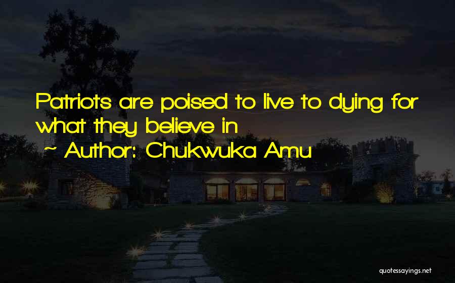 Dying For Something You Believe In Quotes By Chukwuka Amu