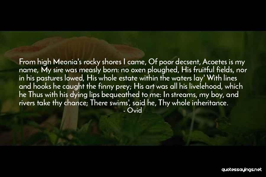 Dying For U Quotes By Ovid Dying For U Quotes By Ovid