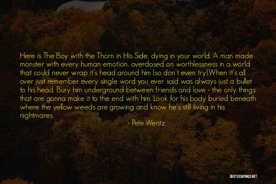 Dying For Your Friends Quotes By Pete Wentz