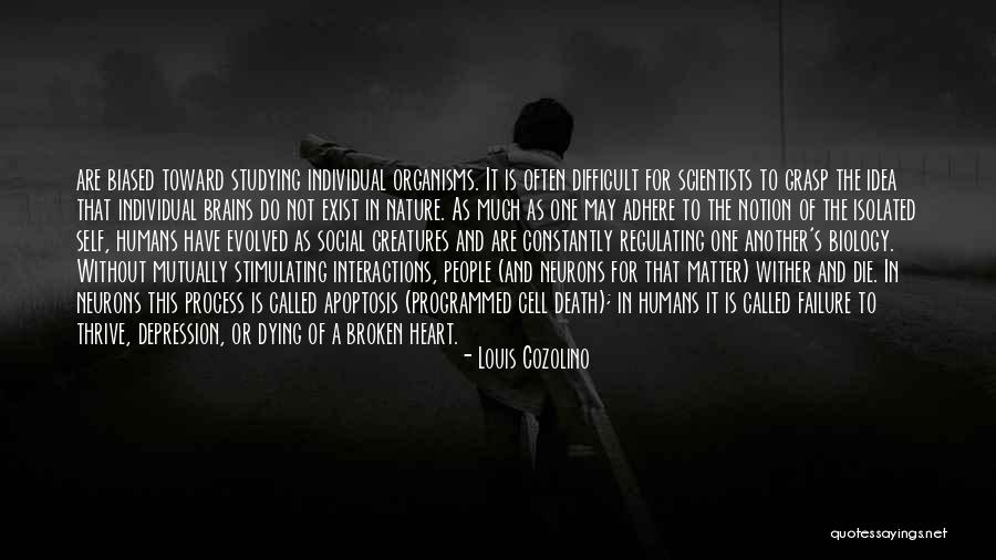 Dying From A Broken Heart Quotes By Louis Cozolino Dying From A Broken Heart Quotes By Louis Cozolino
