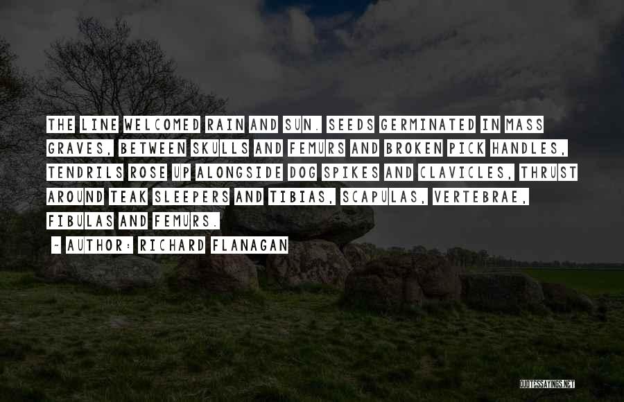 Dying In War Quotes By Richard Flanagan