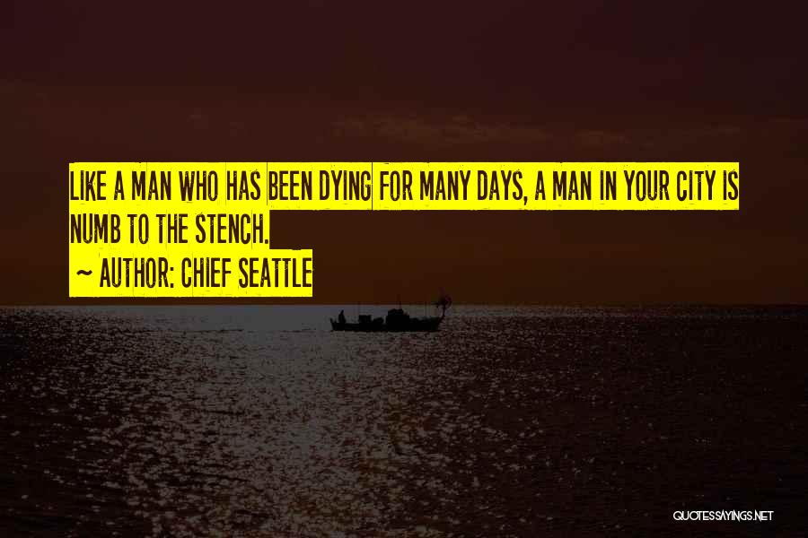 Dying Like A Man Quotes By Chief Seattle