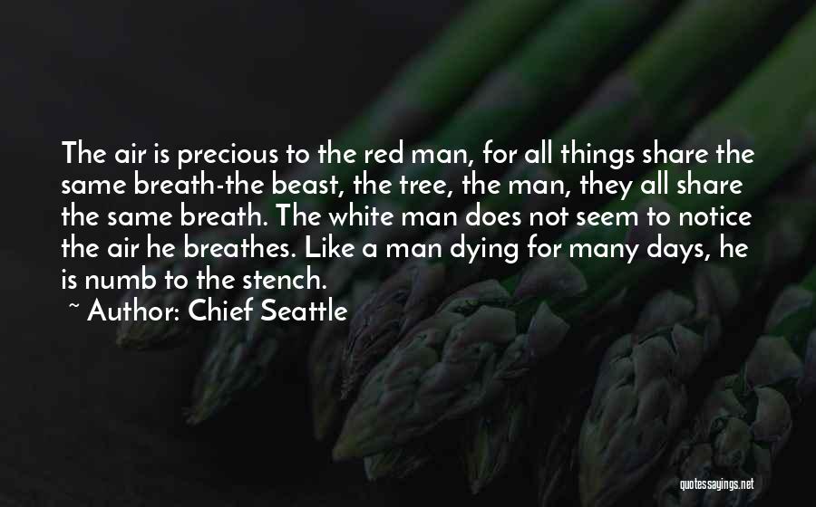 Dying Like A Man Quotes By Chief Seattle