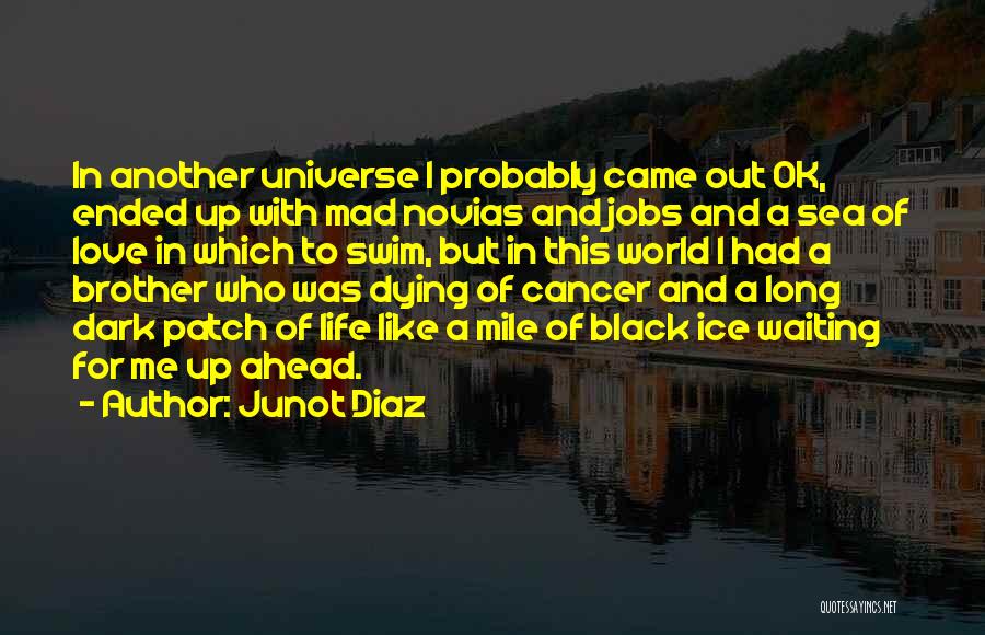 Dying Love Quotes By Junot Diaz