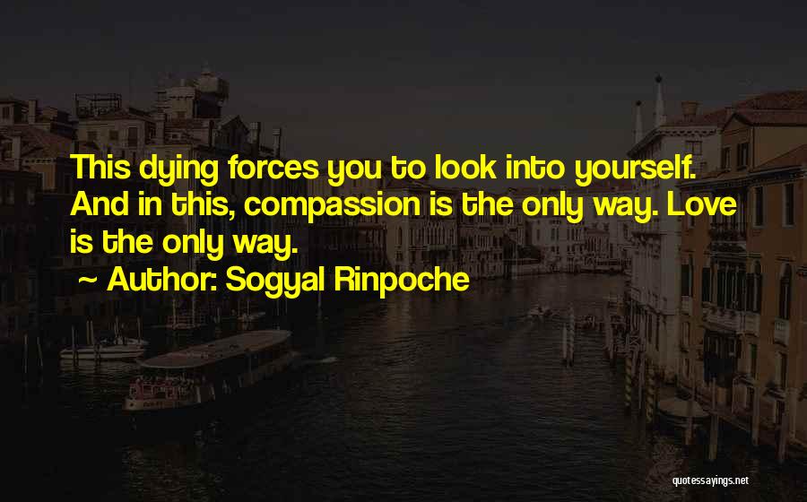 Dying Love Quotes By Sogyal Rinpoche