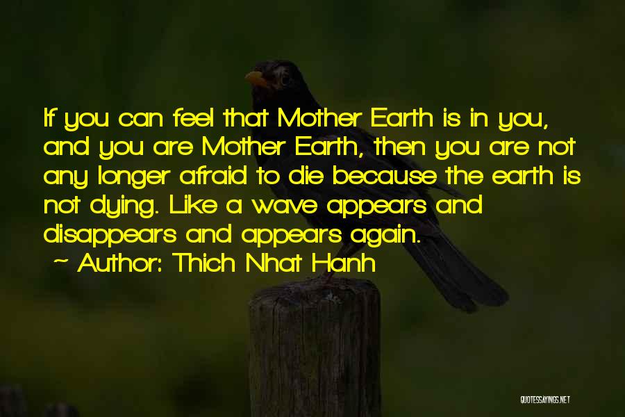 Dying Mother Quotes By Thich Nhat Hanh