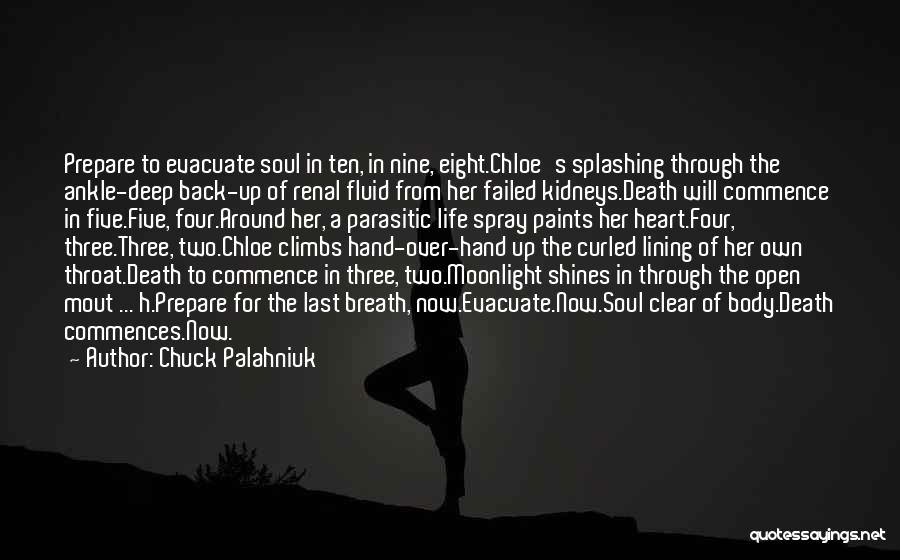 Dying Soul Quotes By Chuck Palahniuk