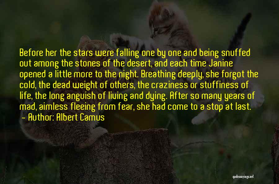 Dying Stars Quotes By Albert Camus