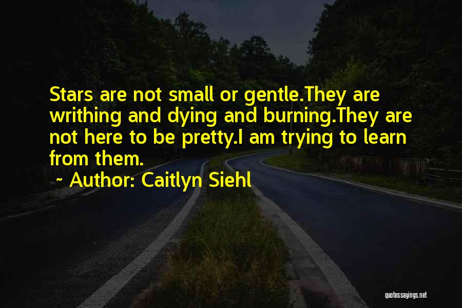 Dying Stars Quotes By Caitlyn Siehl