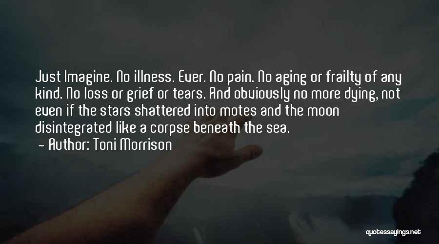Dying Stars Quotes By Toni Morrison