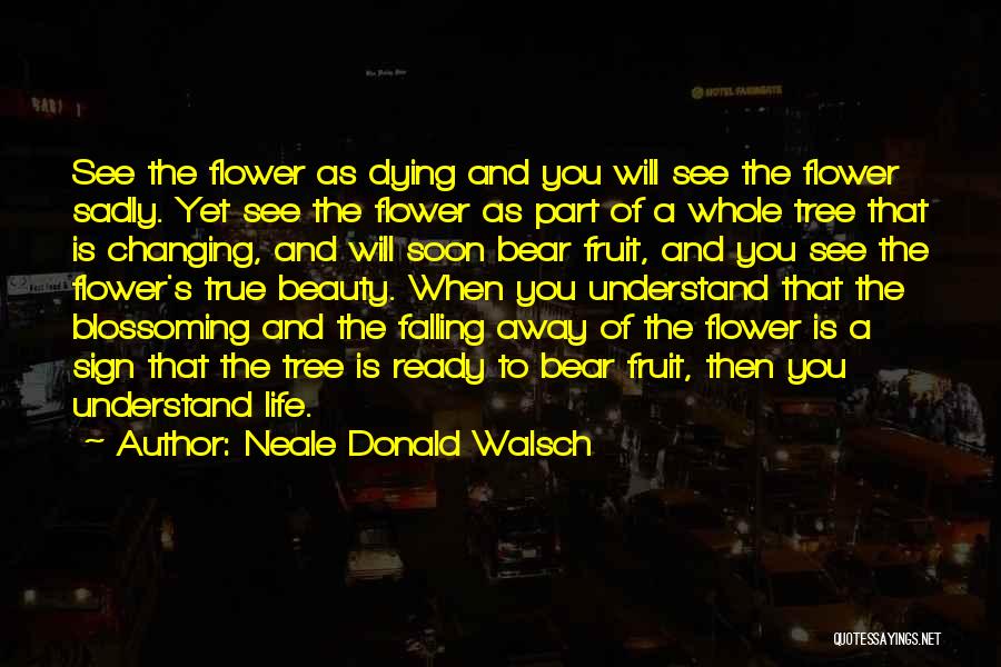 Dying To See You Quotes By Neale Donald Walsch