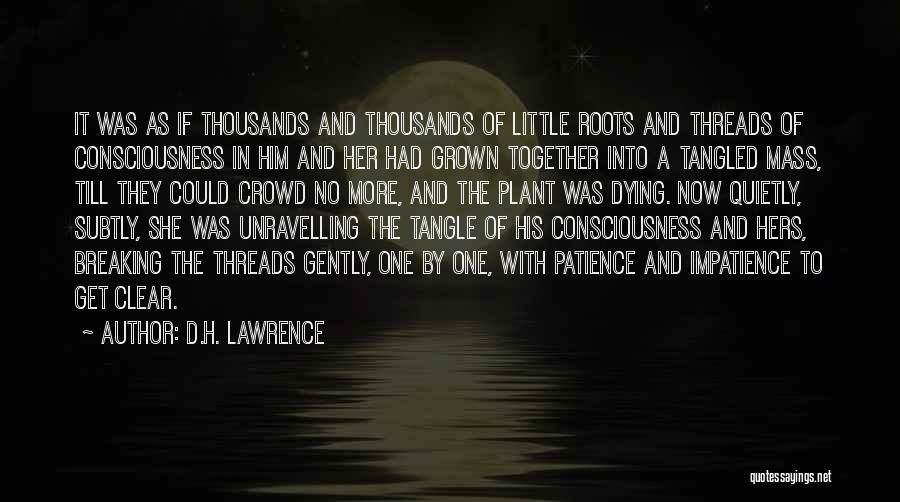 Dying Together Quotes By D.H. Lawrence
