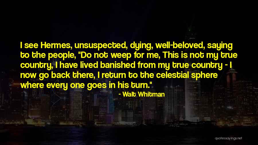 Dying Well Quotes By Walt Whitman Dying Well Quotes By Walt Whitman
