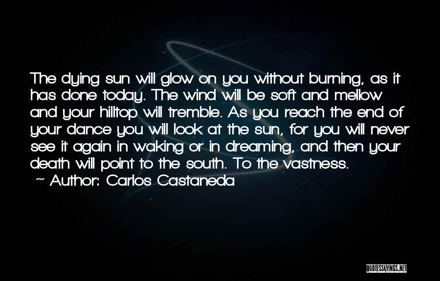 Dying Without You Quotes By Carlos Castaneda