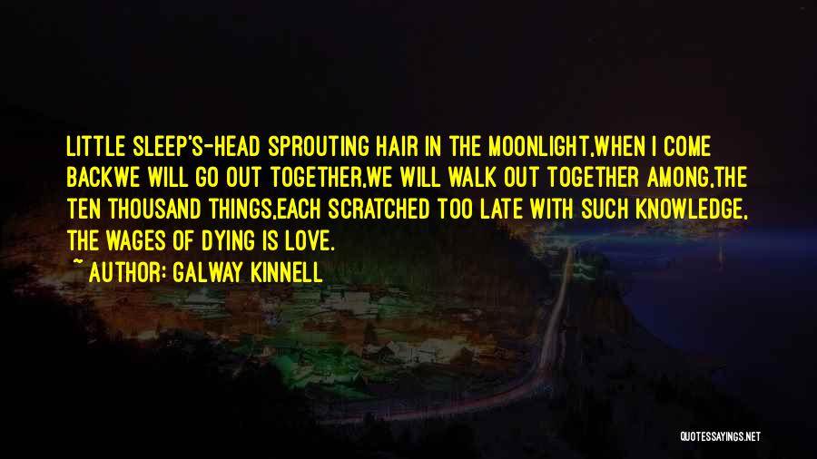 Dying Your Hair Quotes By Galway Kinnell