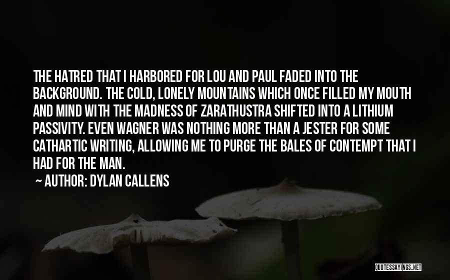 Dylan Callens Quotes 1931330