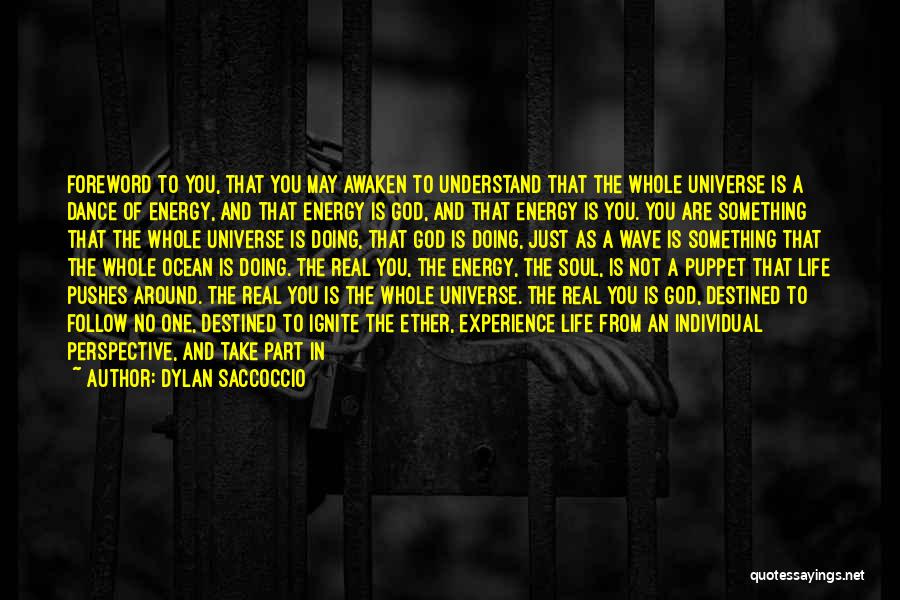 Dylan Saccoccio Quotes 900310