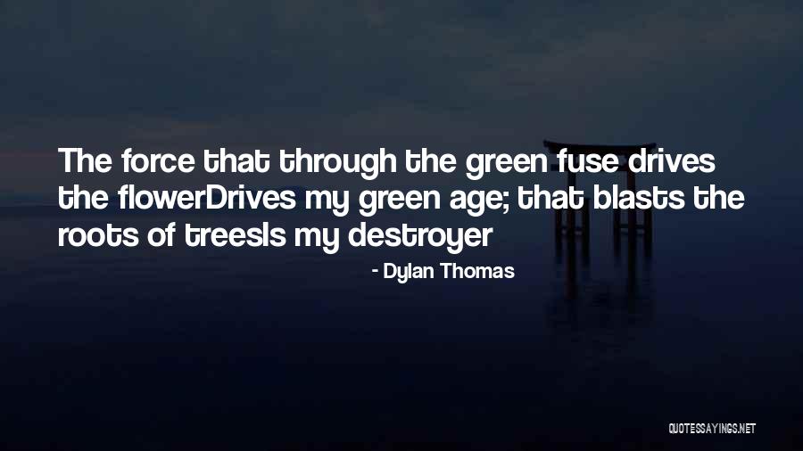 Dylan Thomas Quotes 1389628