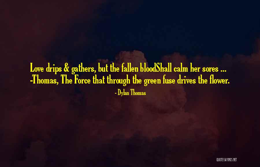 Dylan Thomas Quotes 2031259 Dylan Thomas Quotes 2031259