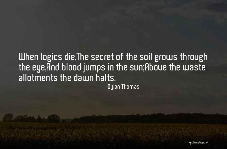 Dylan Thomas Quotes 244814