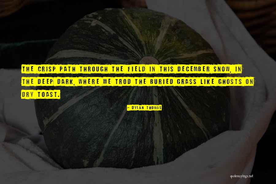 Dylan Thomas Quotes 492085 Dylan Thomas Quotes 492085