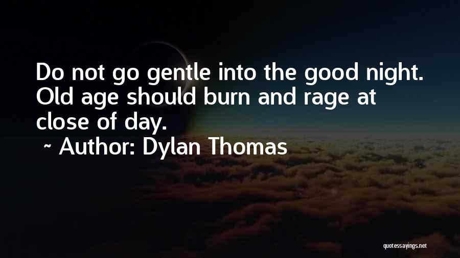 Dylan Thomas Quotes 767832