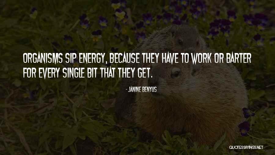 Dyllan Martin Quotes By Janine Benyus Dyllan Martin Quotes By Janine Benyus