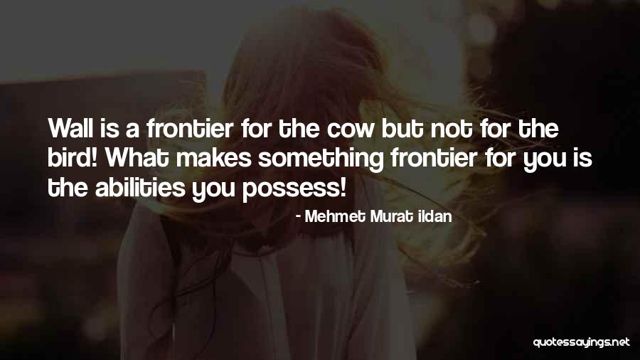 Dympna Fay Quotes By Mehmet Murat Ildan Dympna Fay Quotes By Mehmet Murat Ildan